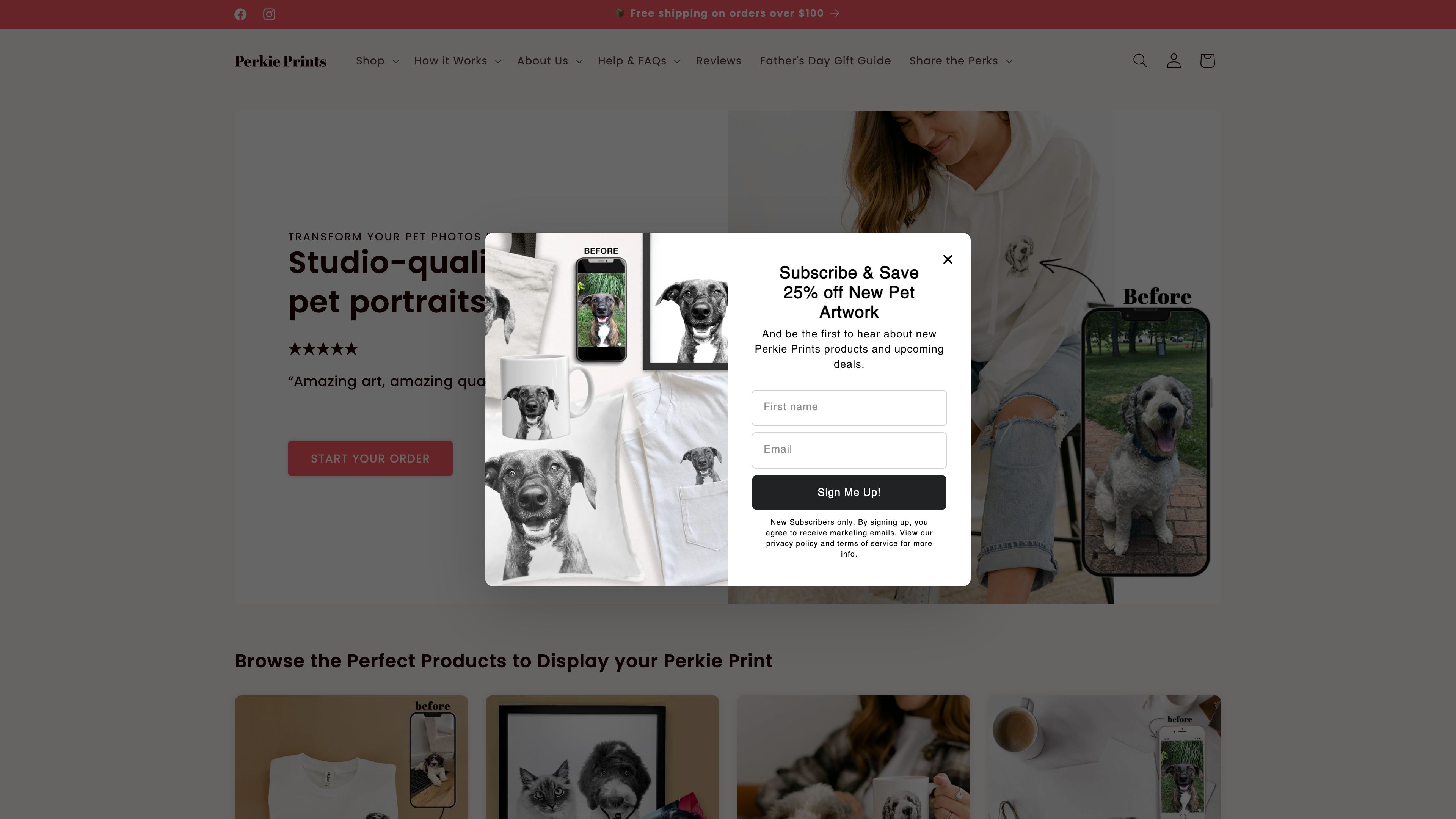 Low-Code Theme Redesign for Custom Pet Portraits Brand screenshot