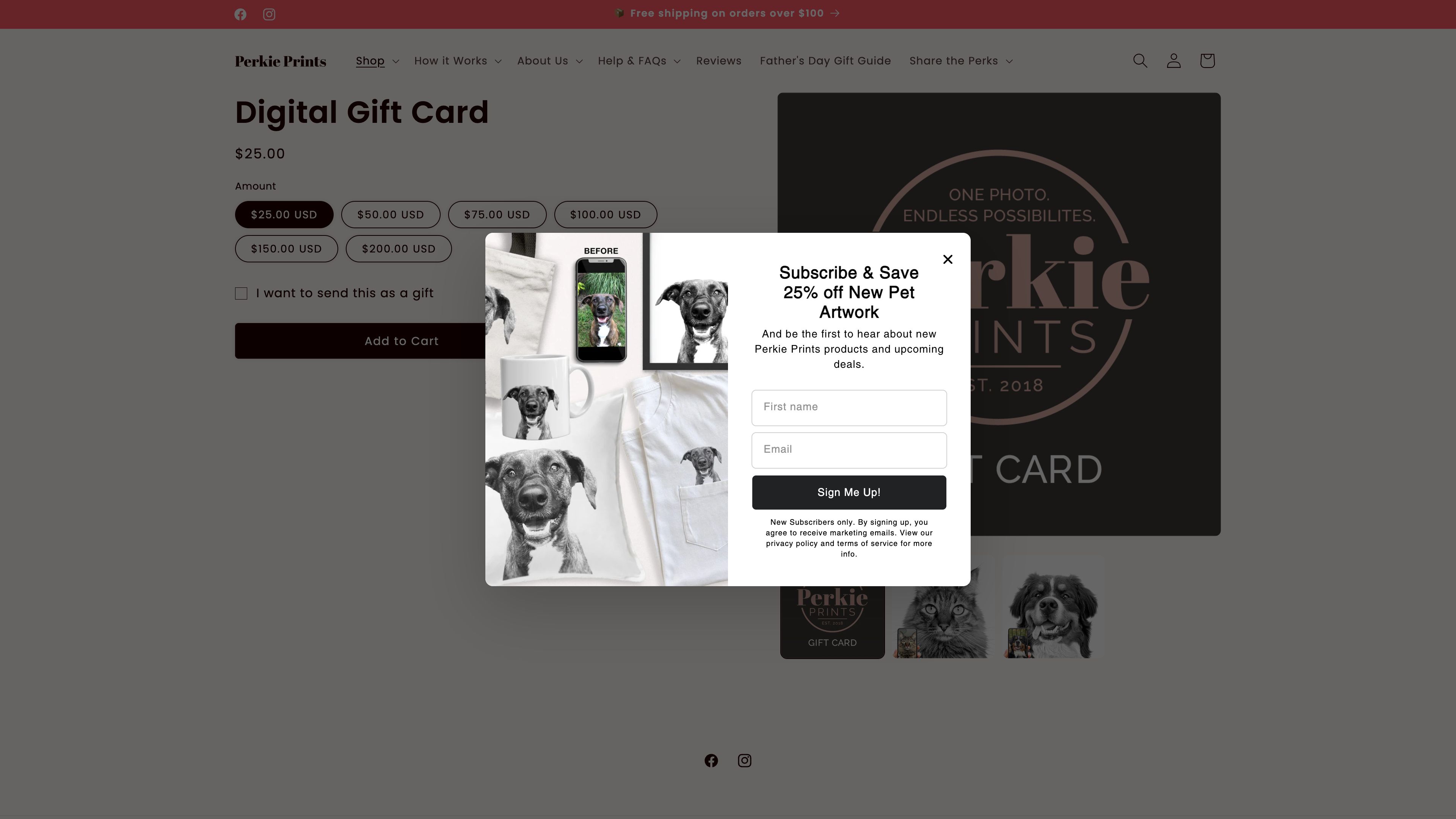 Low-Code Theme Redesign for Custom Pet Portraits Brand screenshot 2