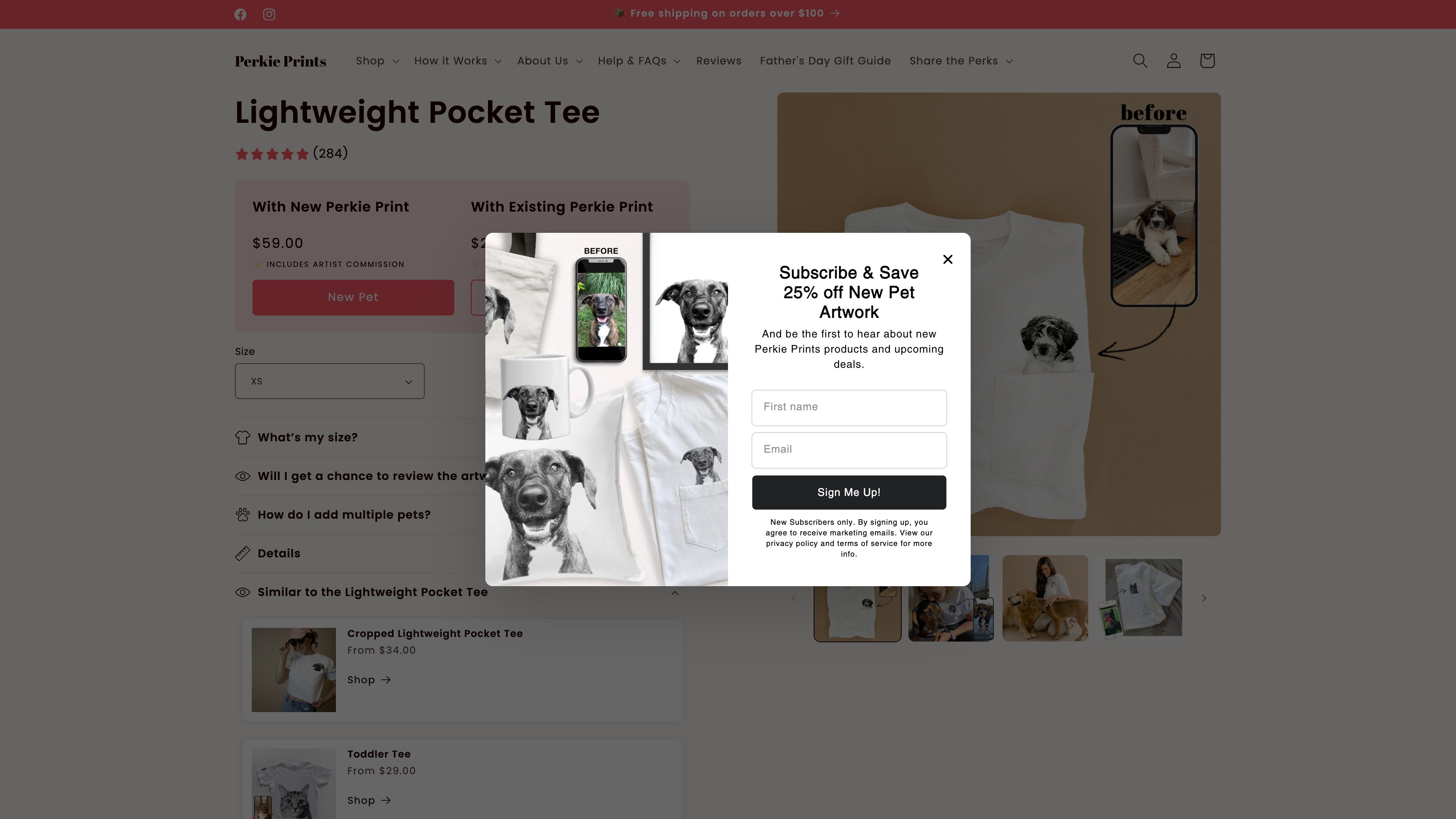 Low-Code Theme Redesign for Custom Pet Portraits Brand screenshot 4