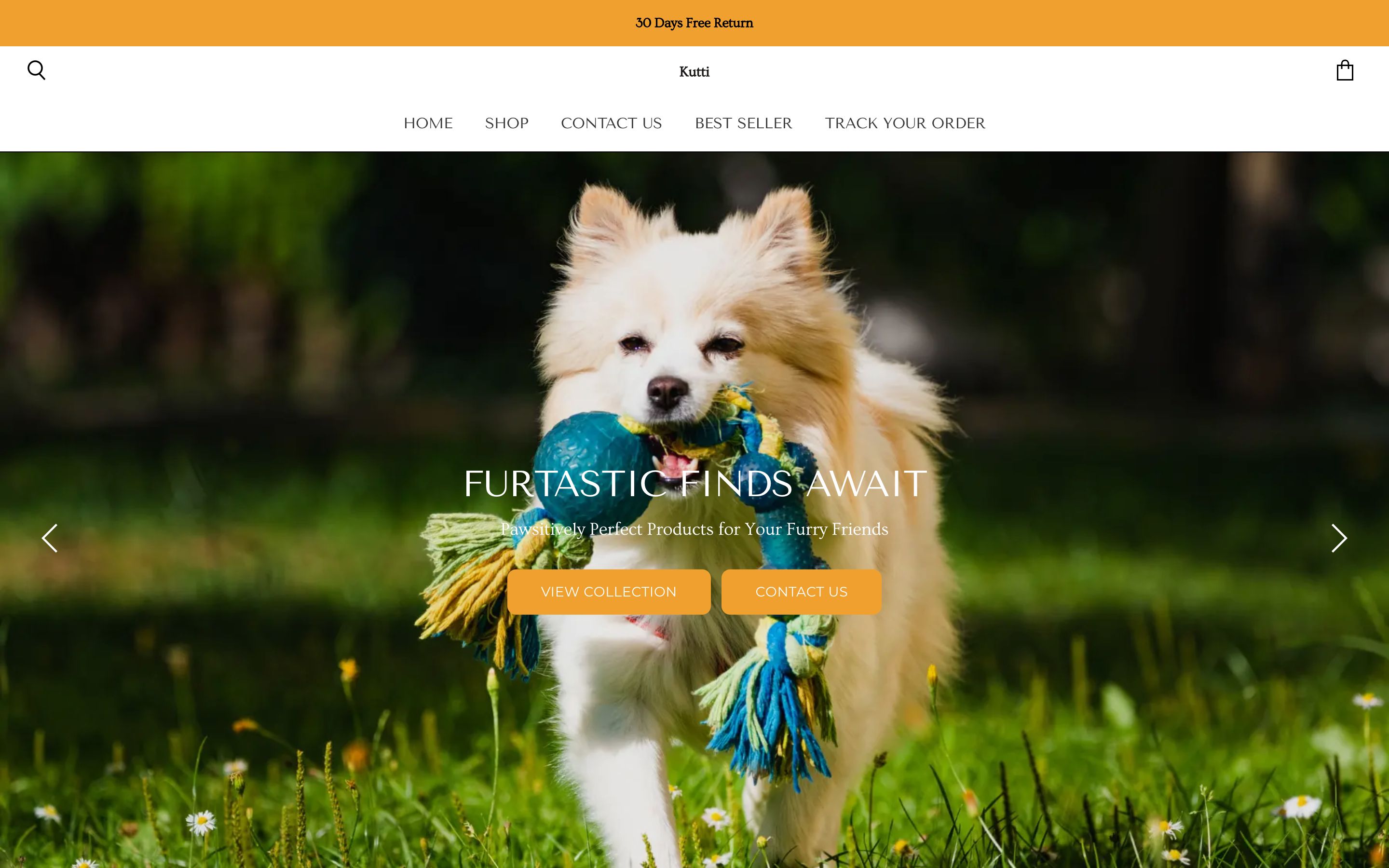 Pet Shopify Ecommerce Store screenshot 4