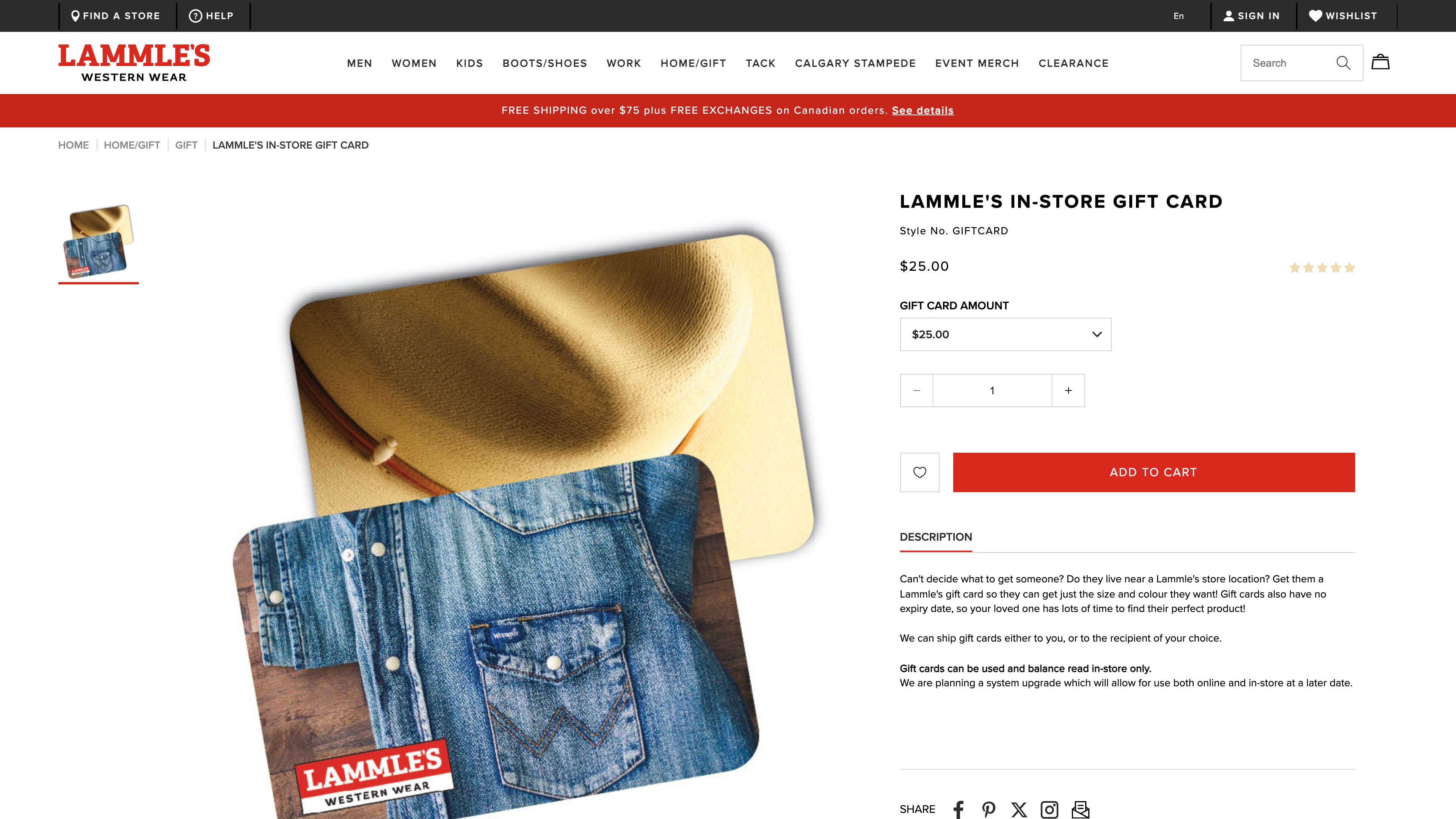 Migration and Development for Lammle's Western Wear: Focused on the Calgary Stampede