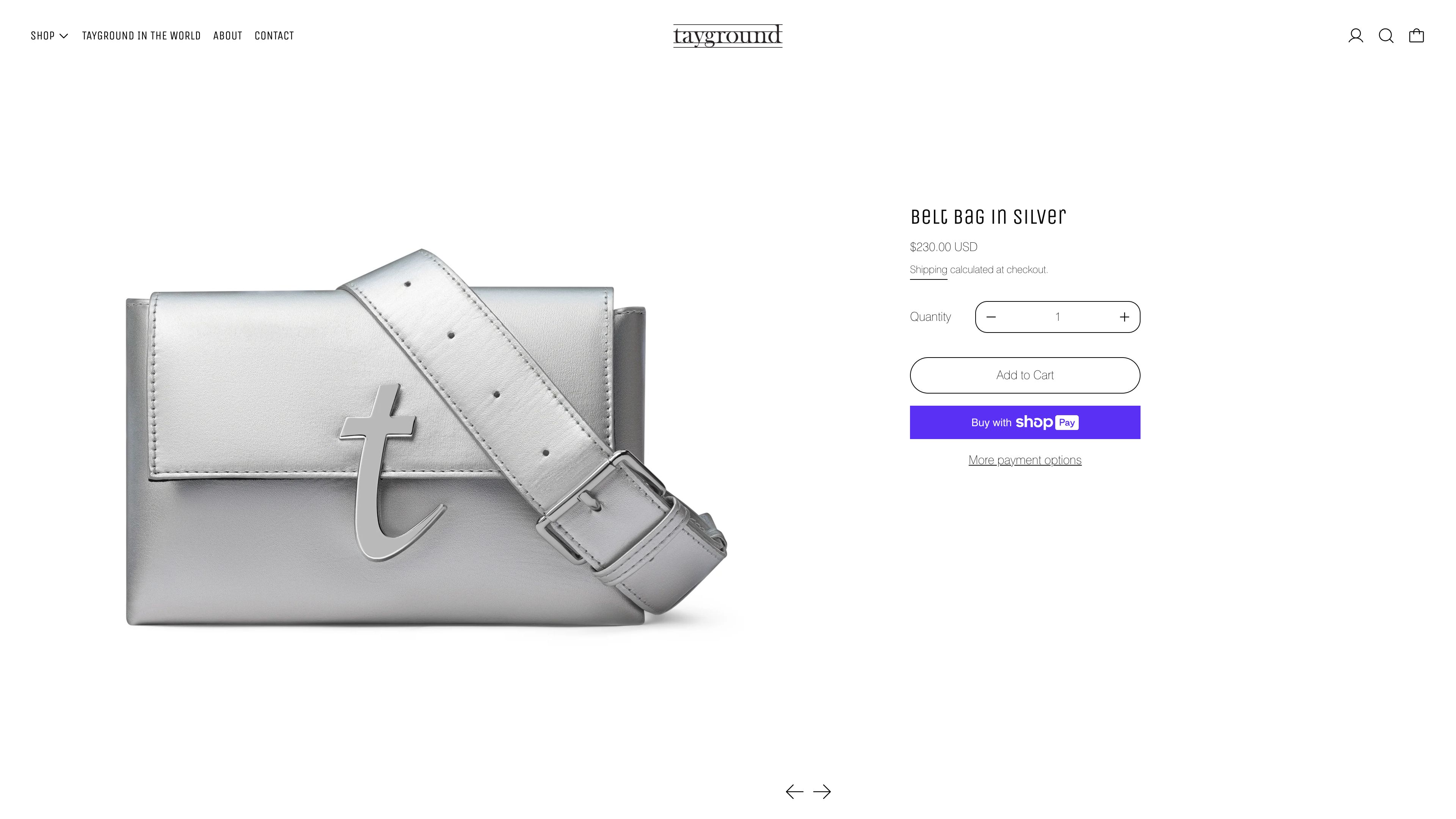 Tayground screenshot 4