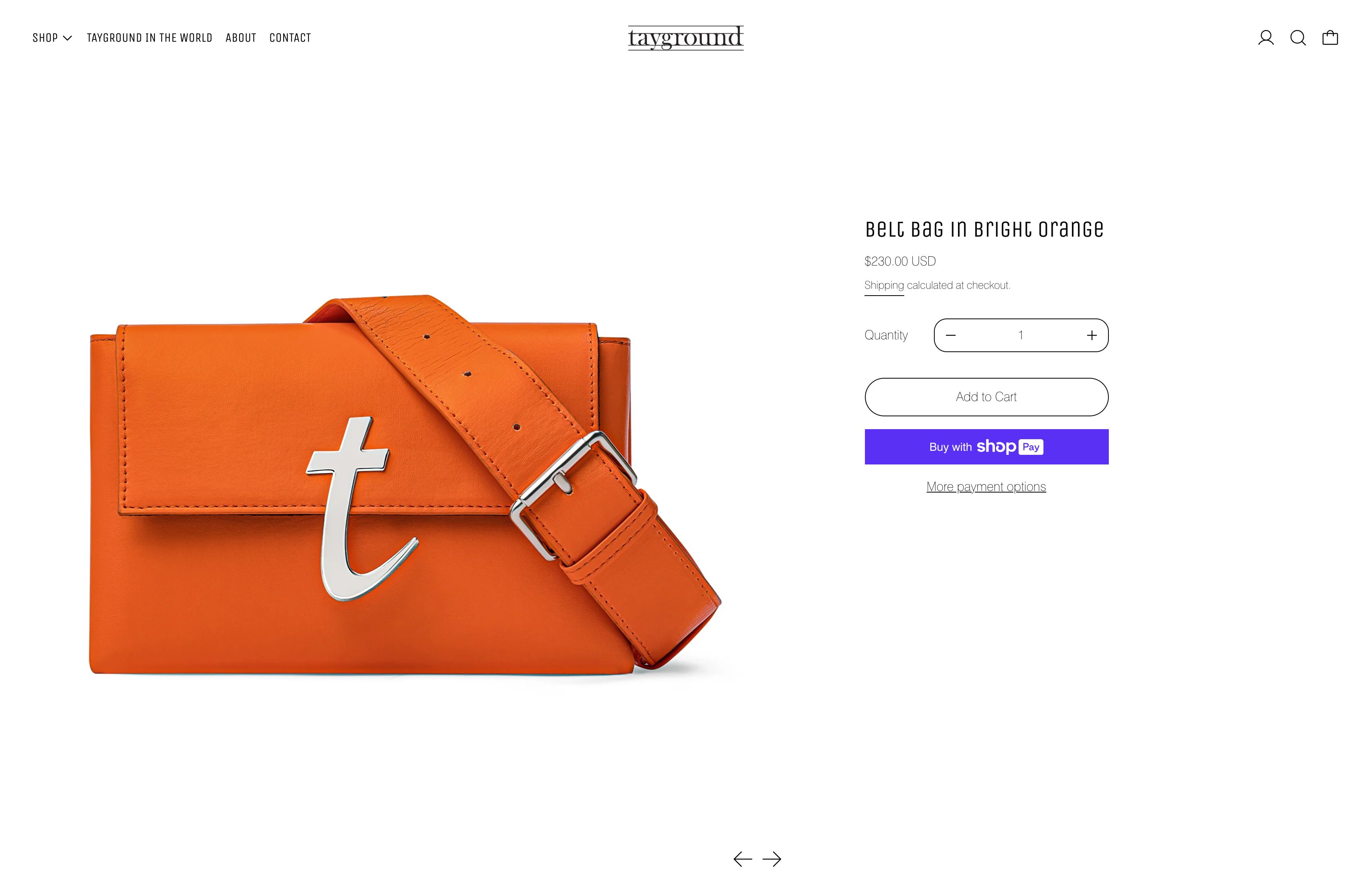 Tayground screenshot 5