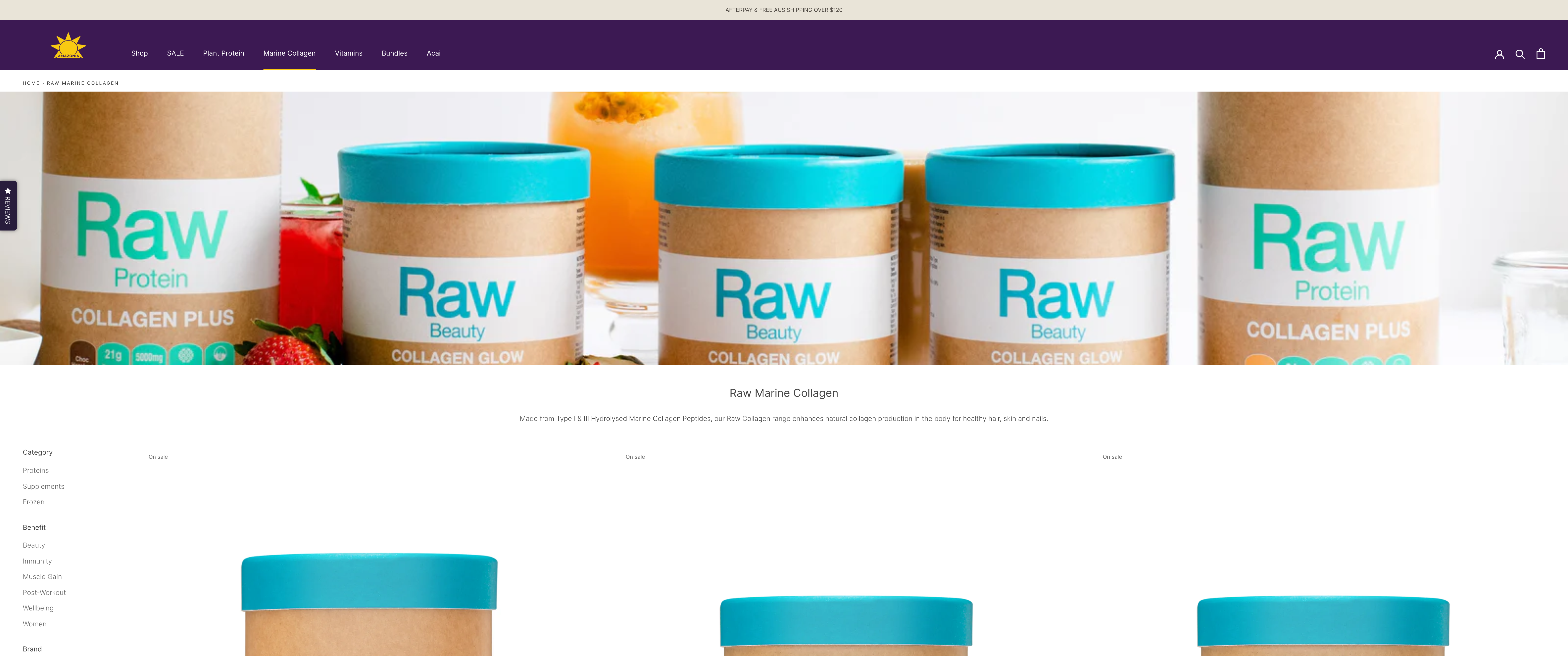 Amazonia screenshot 2