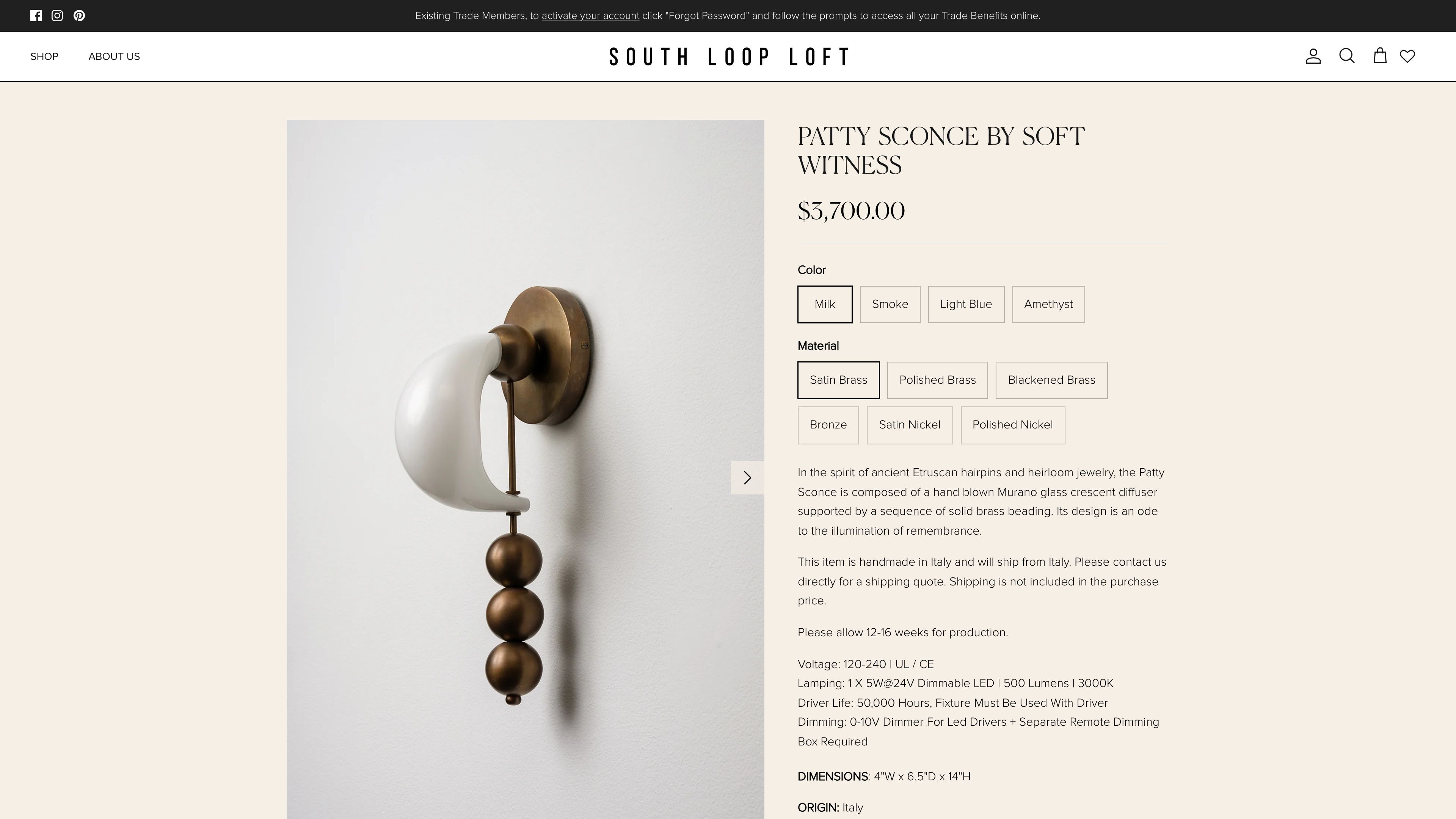 South Loop Loft screenshot 5