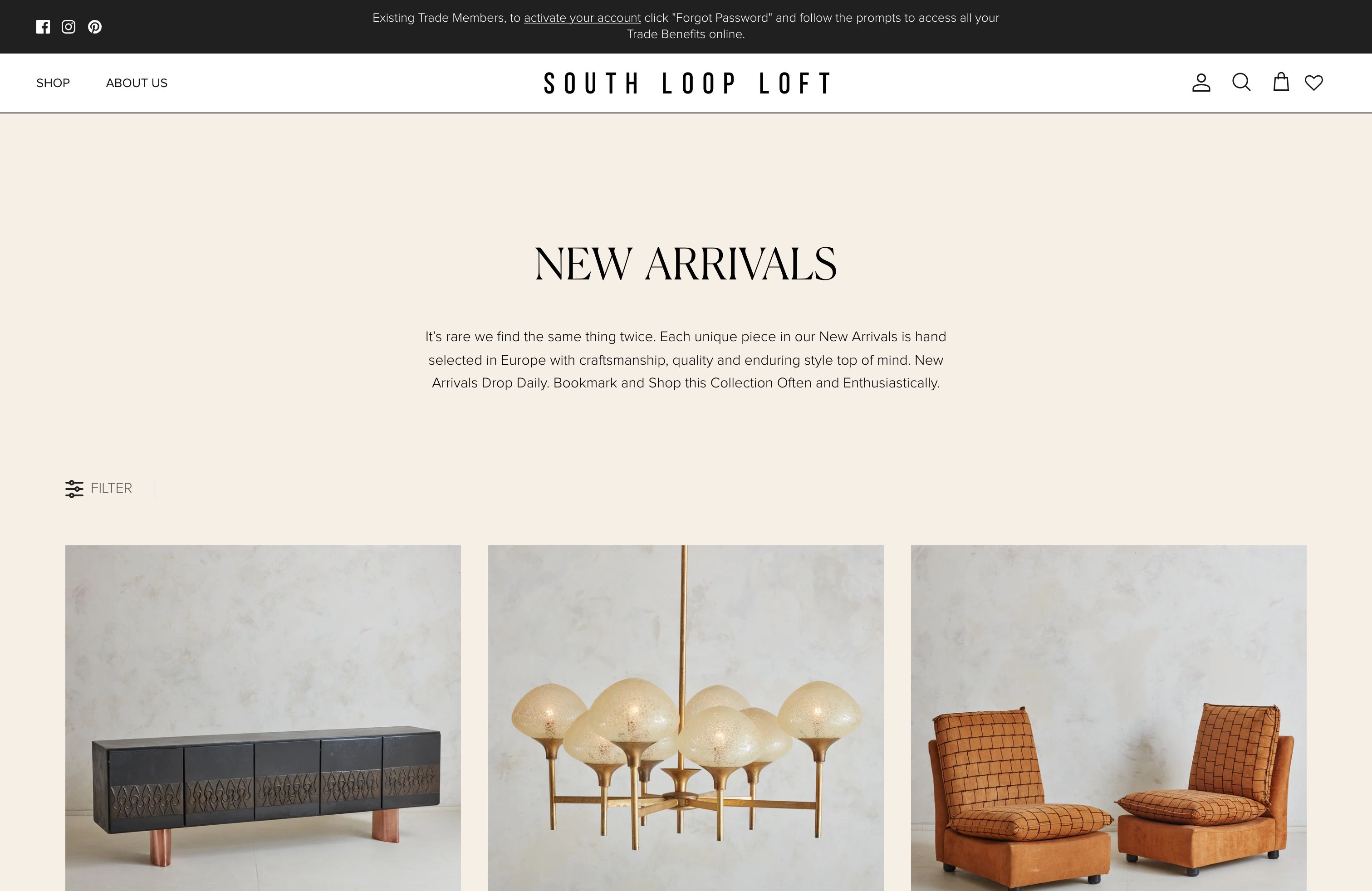 South Loop Loft screenshot 2