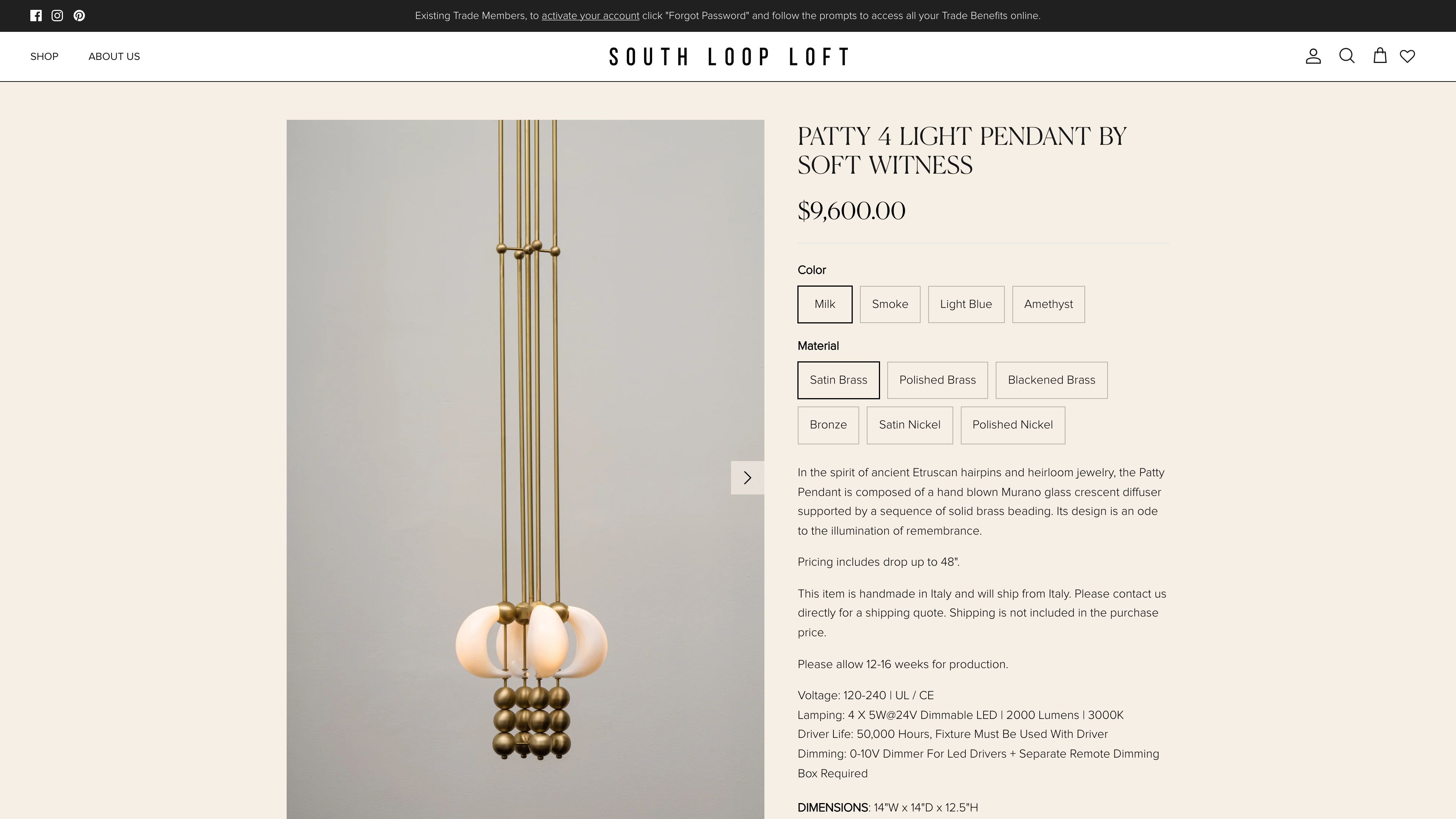 South Loop Loft screenshot 6