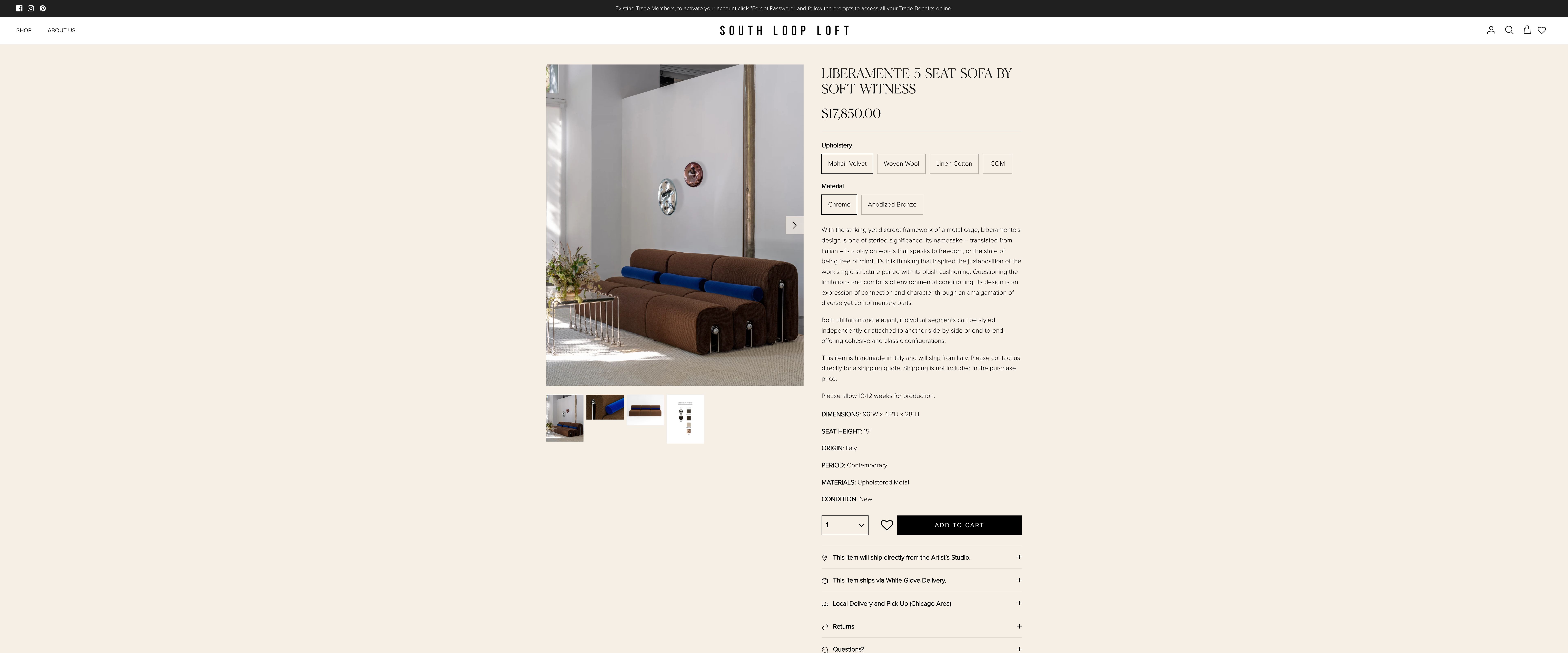 South Loop Loft screenshot 3