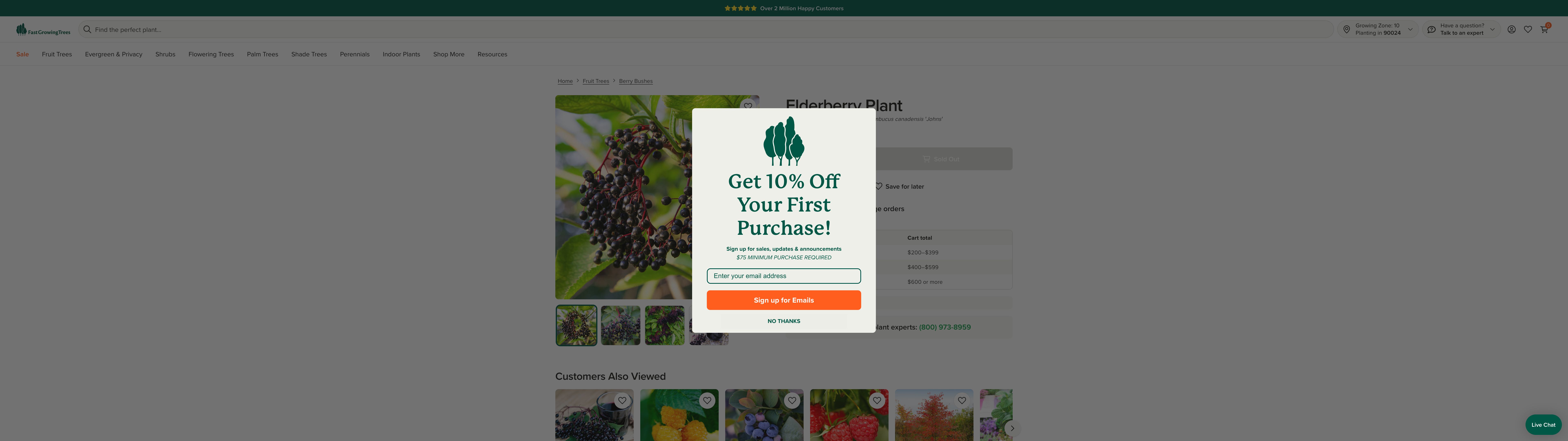 America's Premier Online Nursery - FastGrowingTrees.com