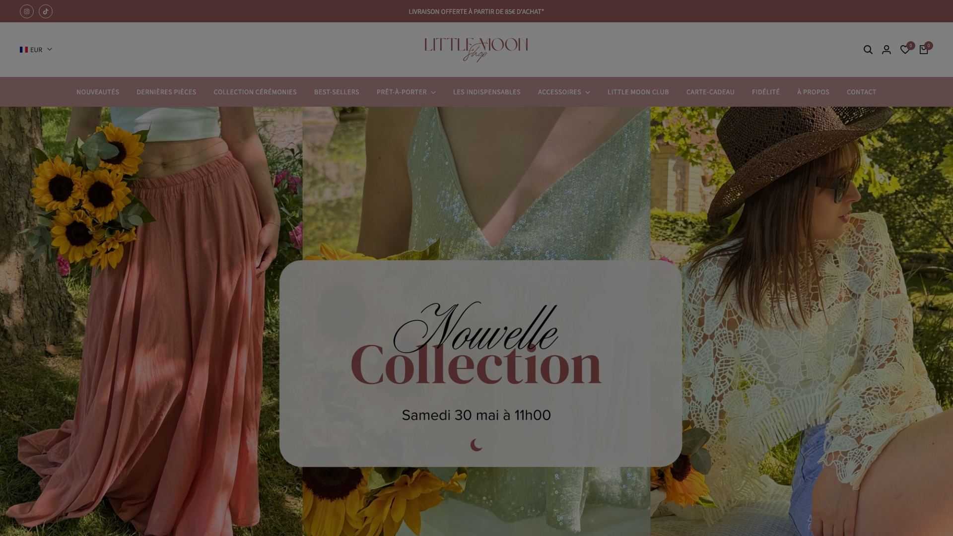 Little Moon Shop : une boutique en ligne qui a du style