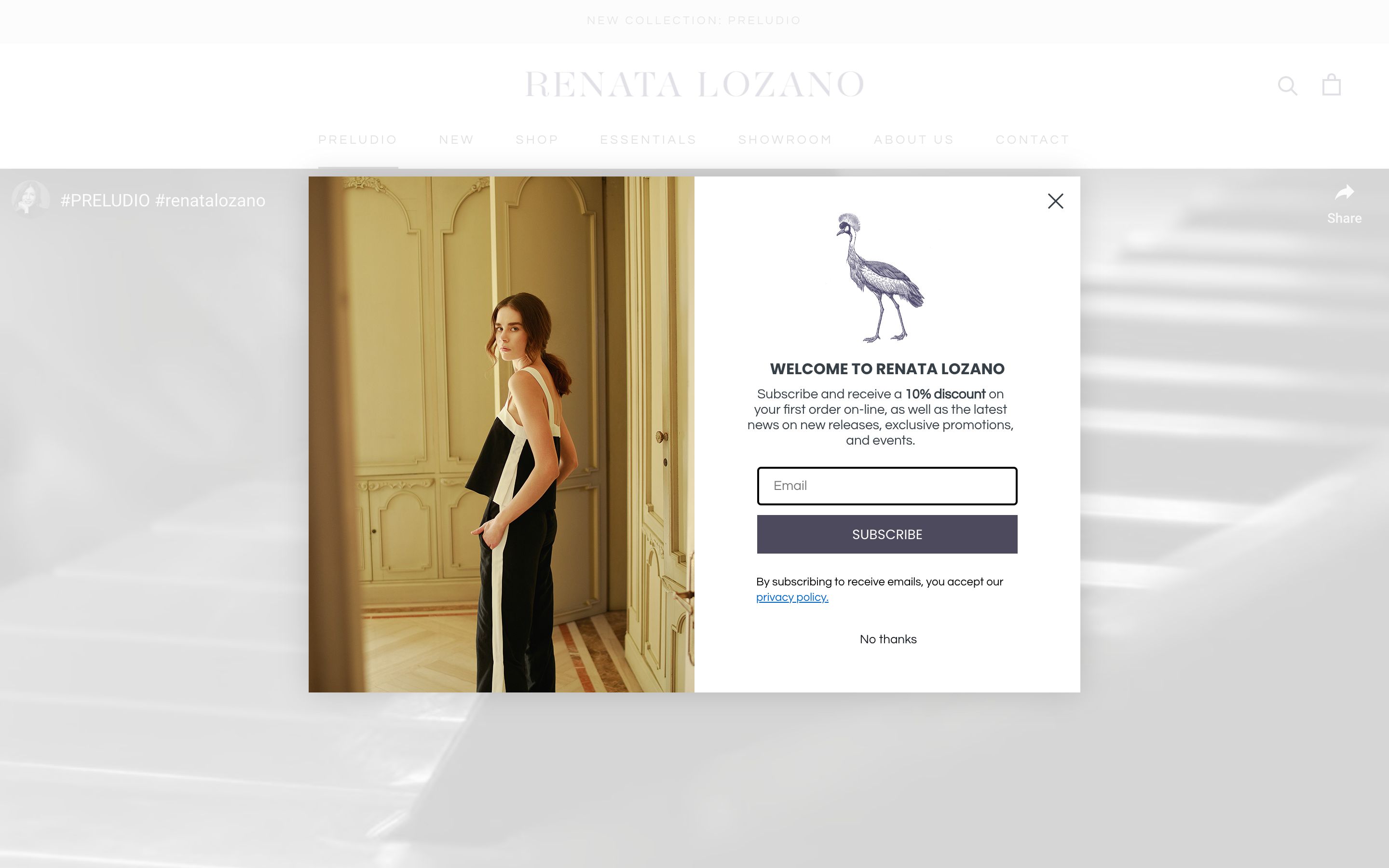 Retail ecommerce design and development screenshot 2