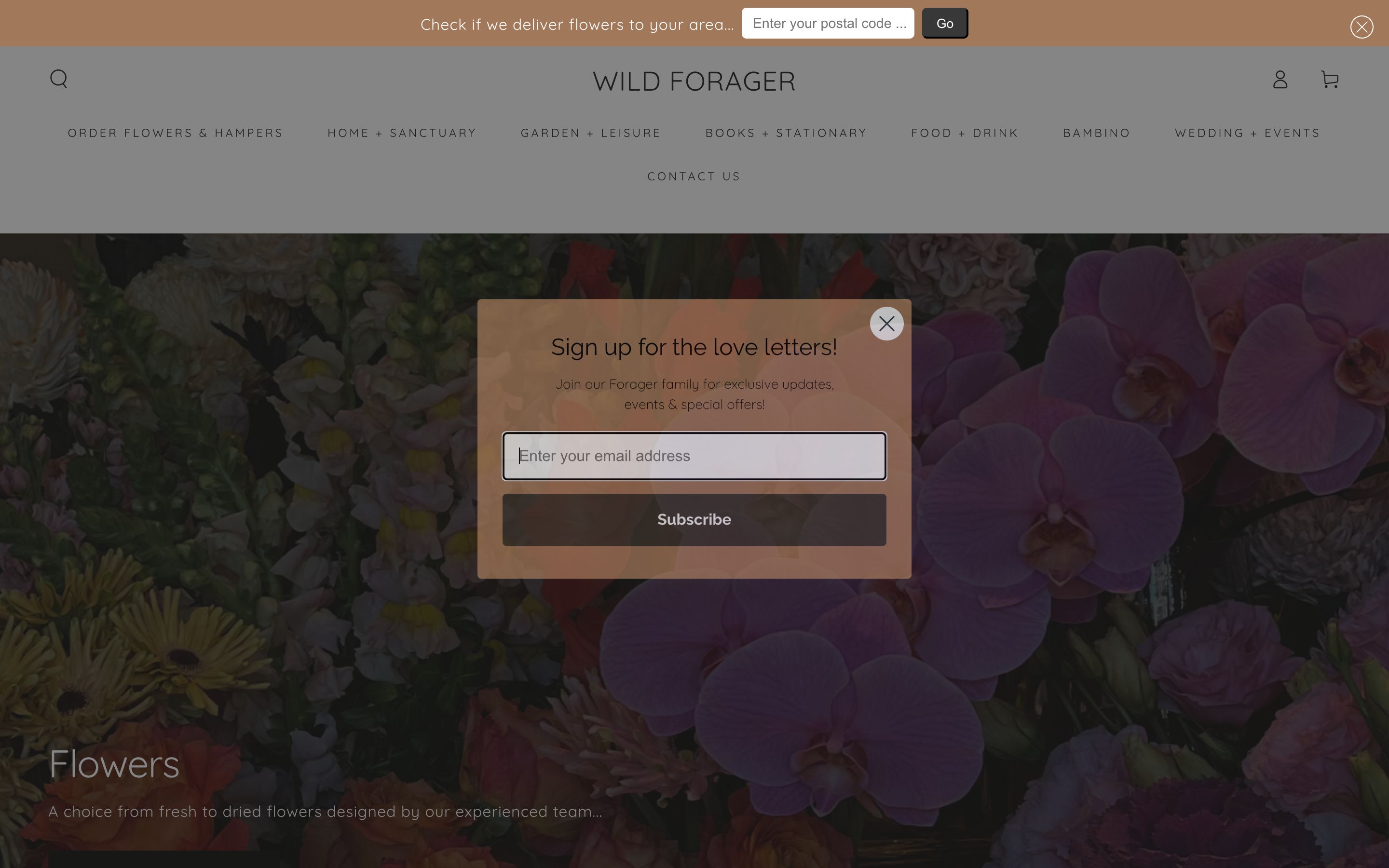 Wild Forager | Shopify Store screenshot 4