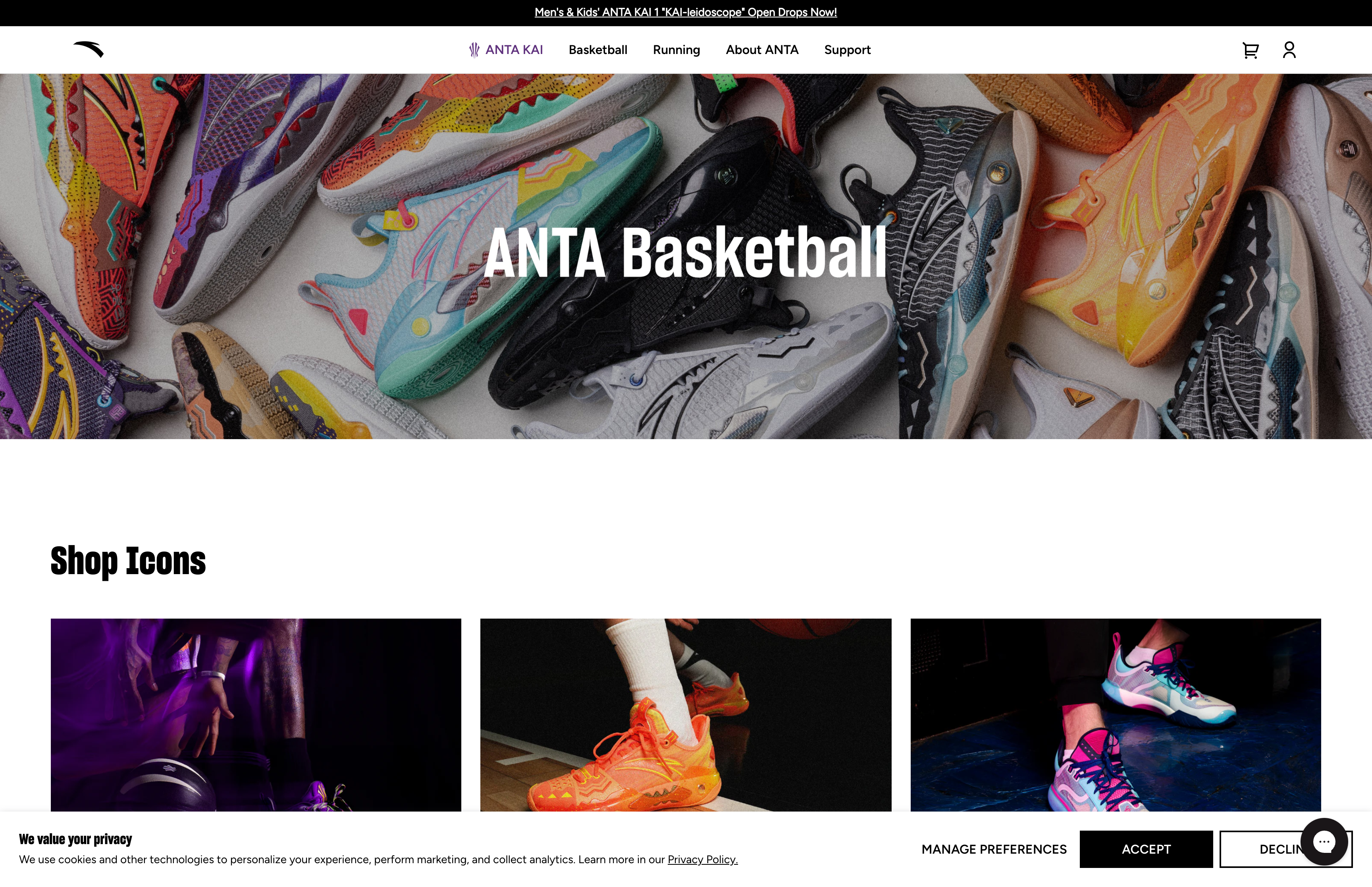 ANTA screenshot 2