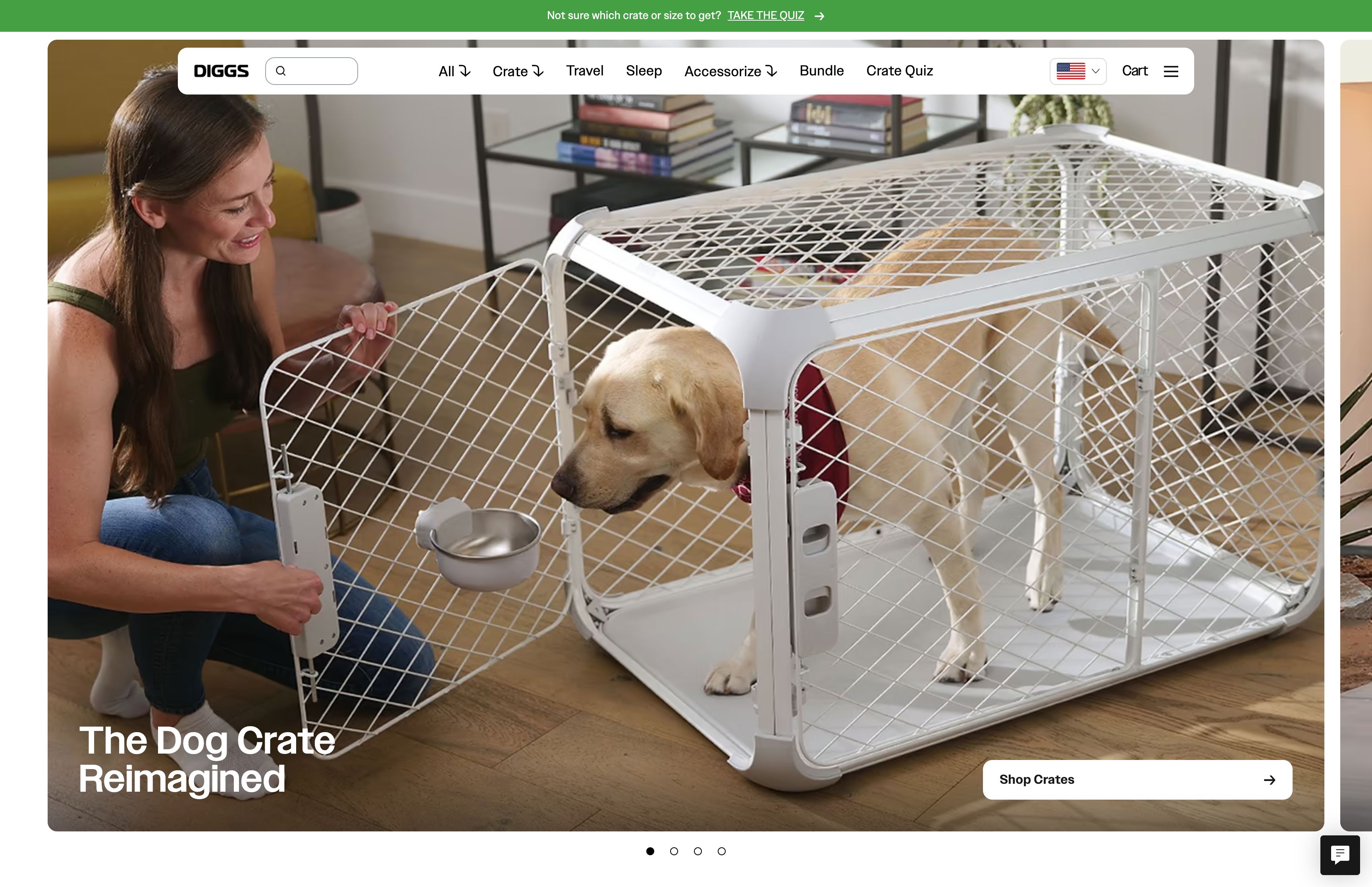 Diggs Pet screenshot