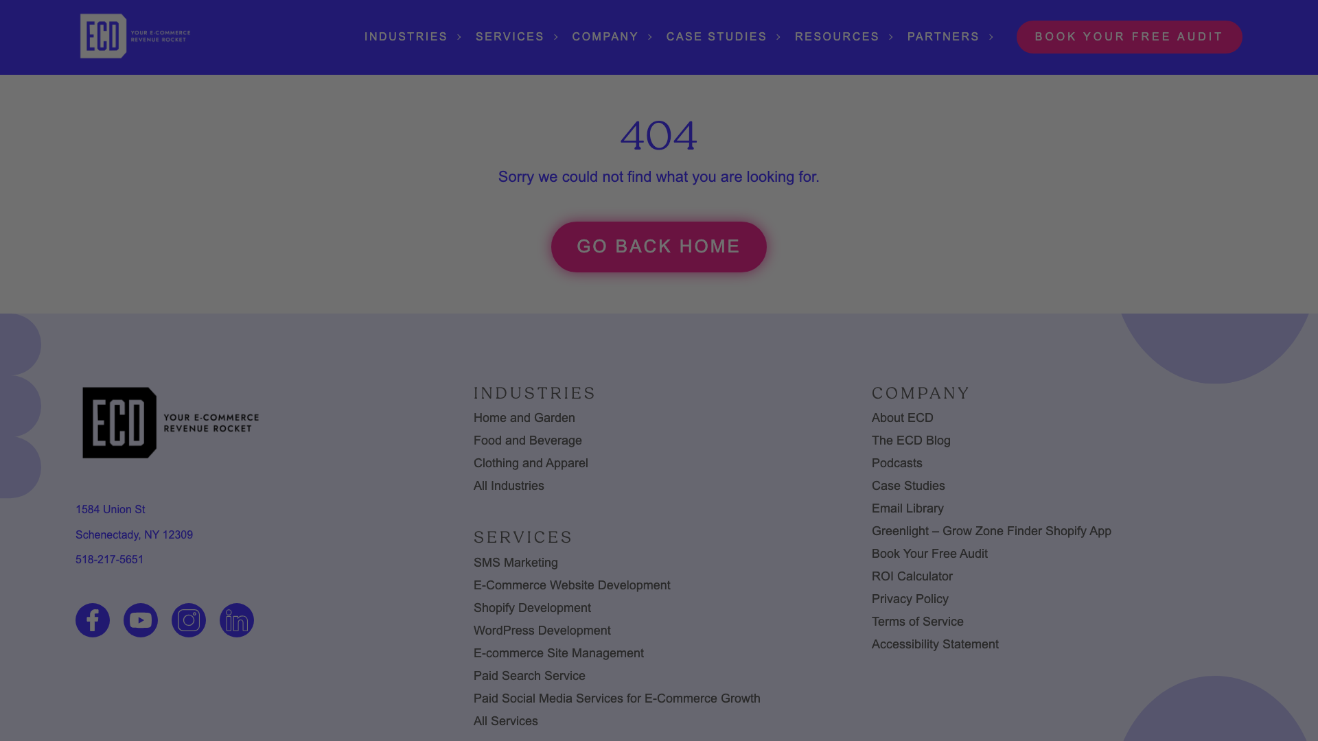 From wholesale to top e-commerce bulb seller with ECD Digital Strategy