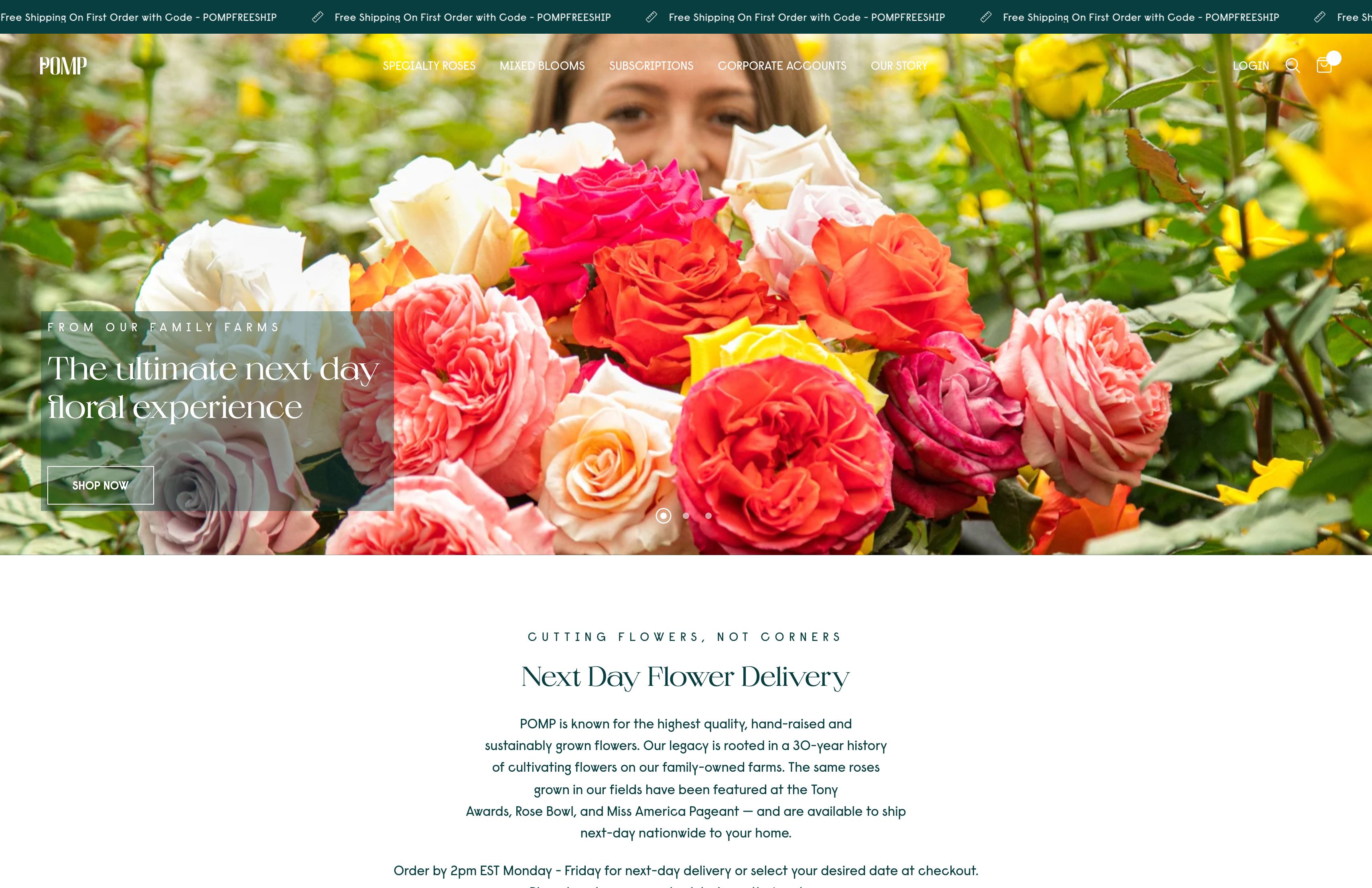Pomp Flowers: Shopify 2.0 Upgrade & SEO for Enhanced UI/UX screenshot 5