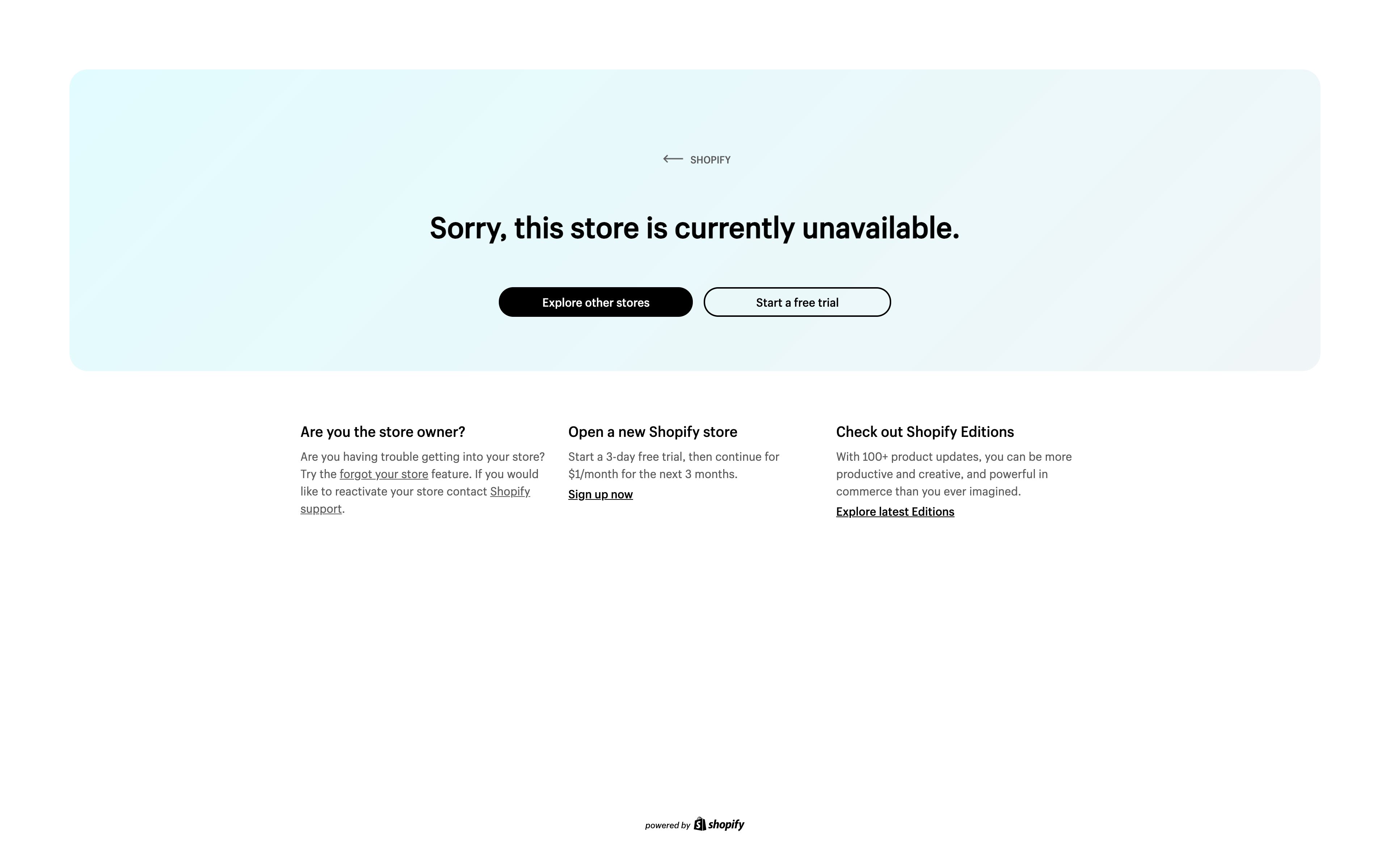 Chic Boutique Women Fashion Shopify Website screenshot