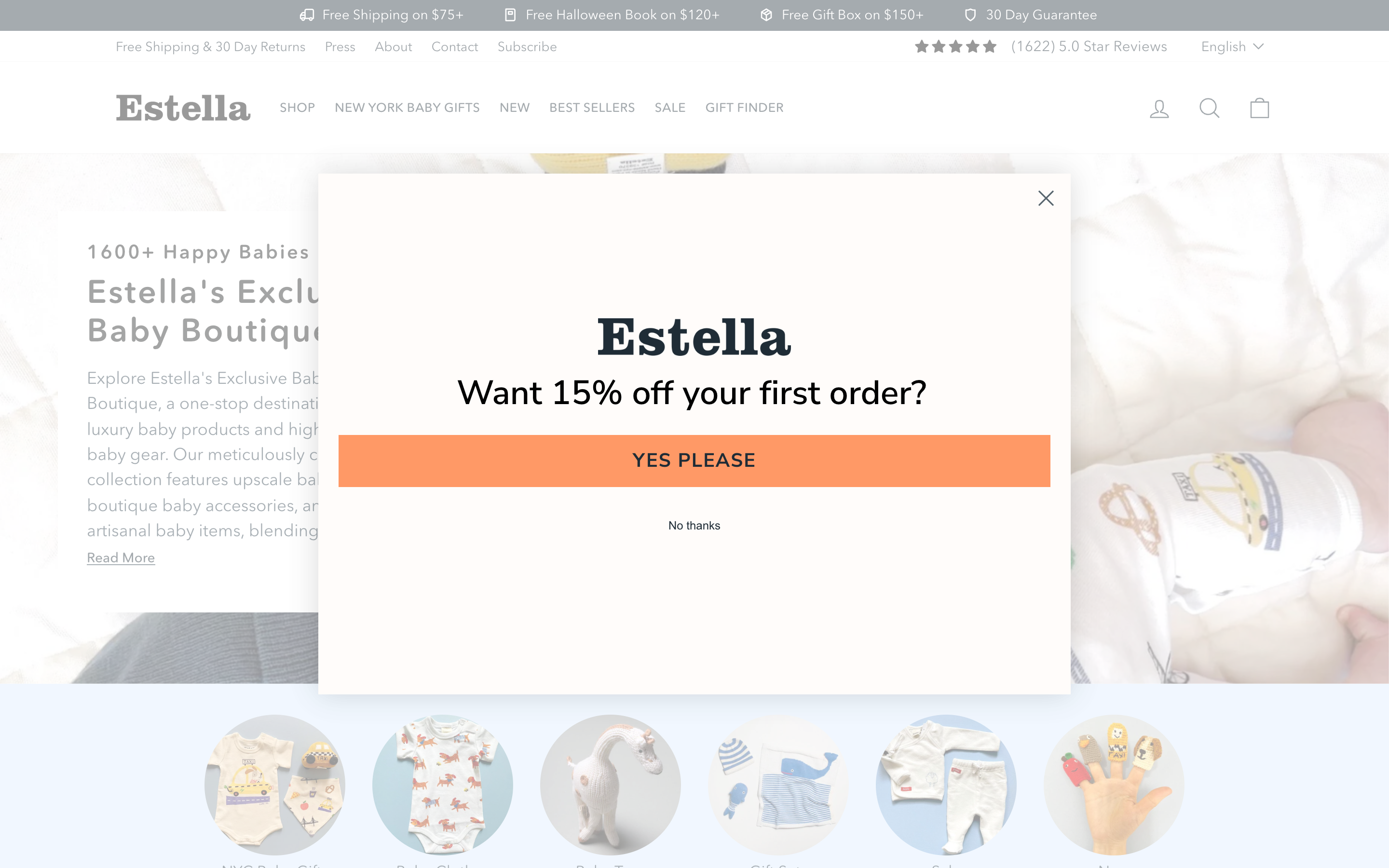 Ongoing Maintenance and Improvement for Estella's Baby Clothing Website