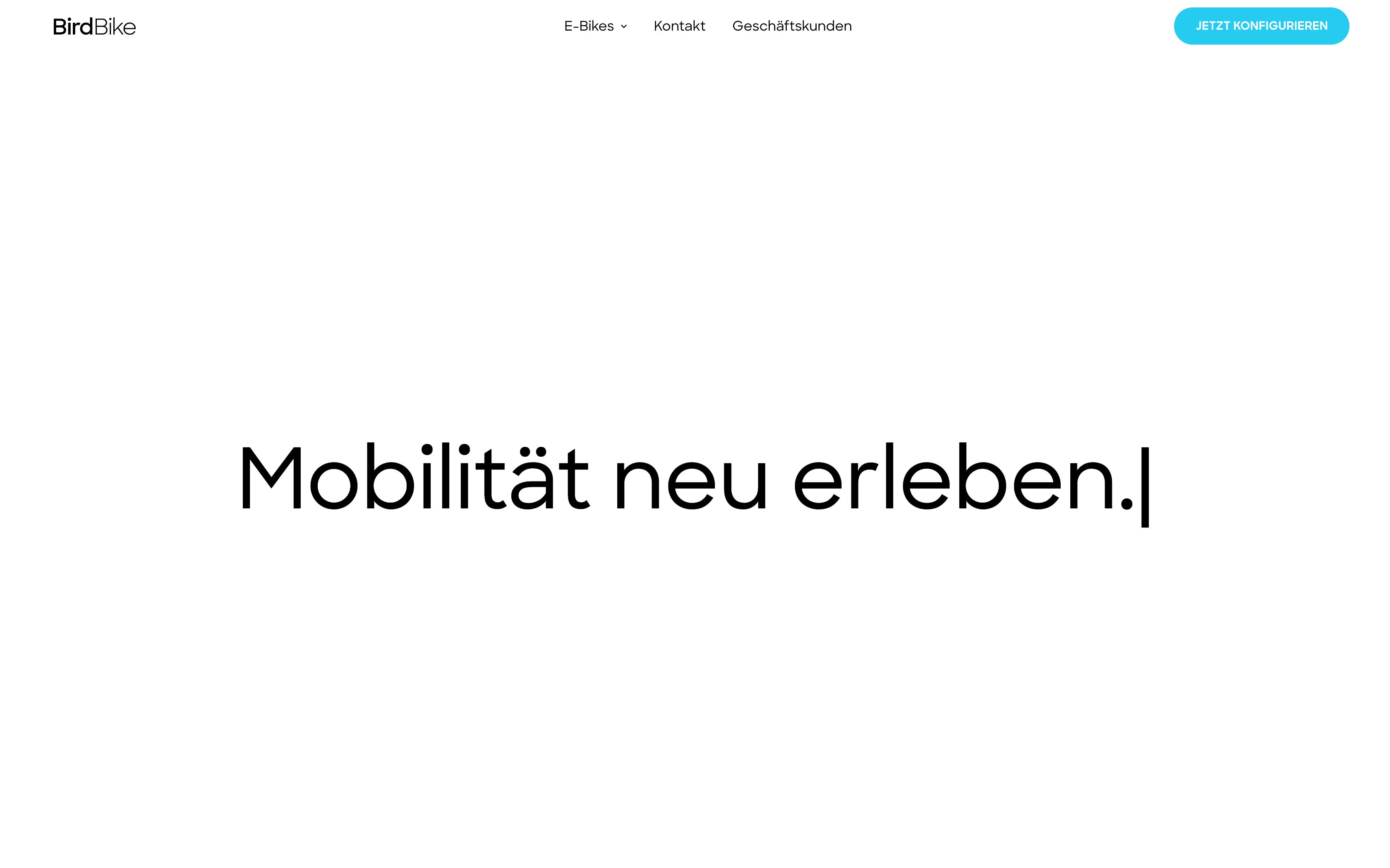 Shopify Shop Entwicklung für Bird E-Bikes screenshot