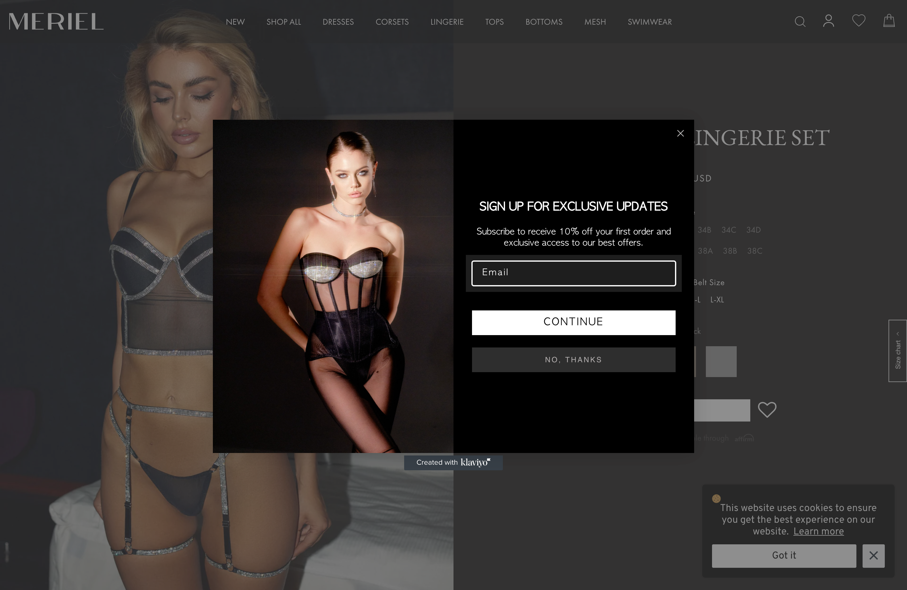 Meriel - Custom Website Development screenshot 4