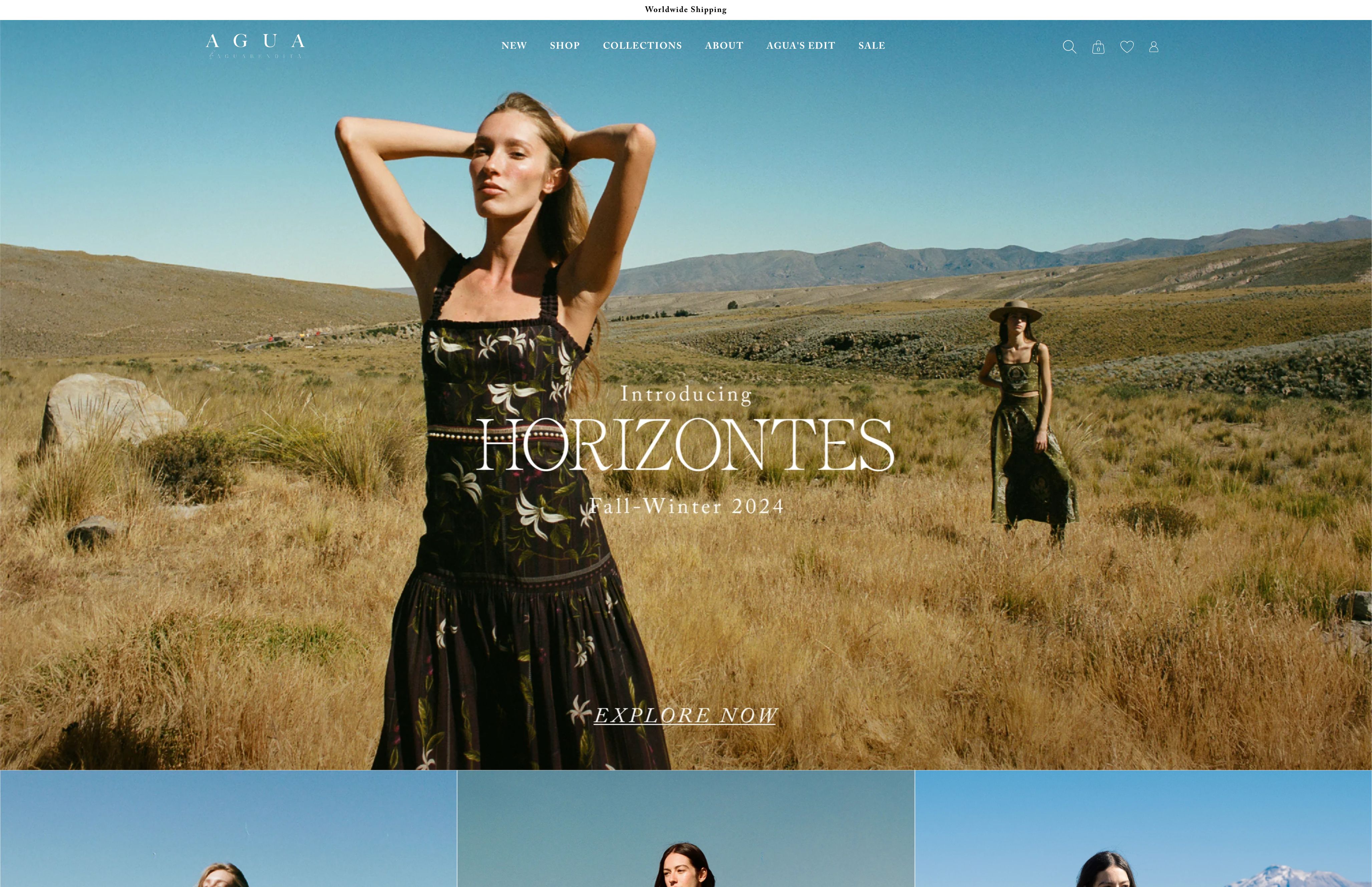 Custom Shopify Plus Development for Agua by Agua Bendita: Global Market Solutions